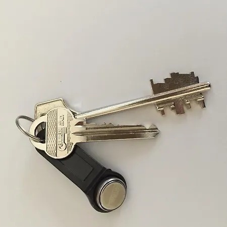 Studlendas * Klaipėda